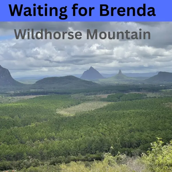 WAITING FOR BRENDA - WILDHORSE MOUNTAIN
